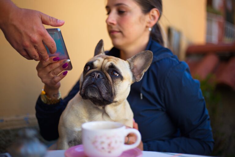 The 10 Best Dog-Friendly Restaurants in Coral Gables
