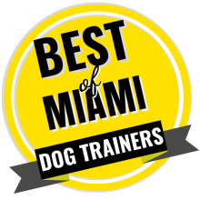 best of miami logo